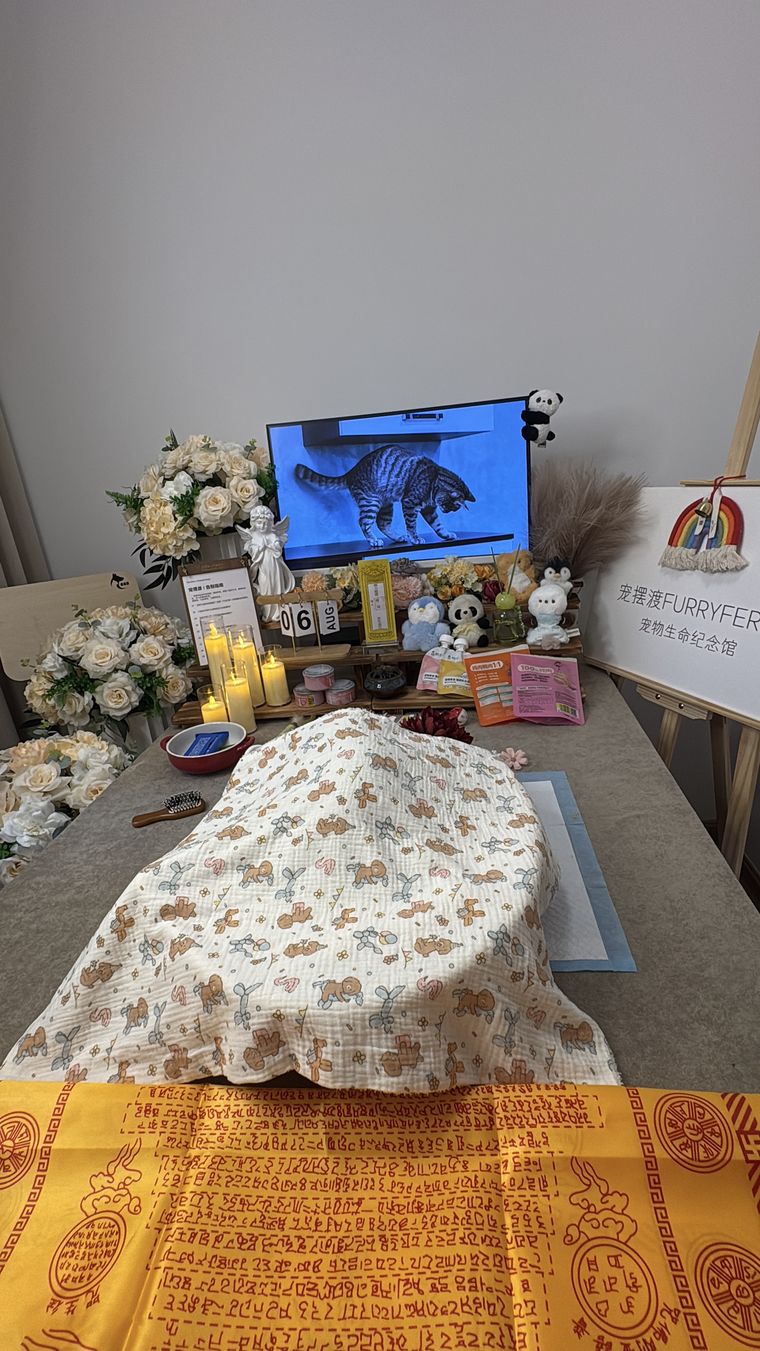 娃娃的告别瞬间