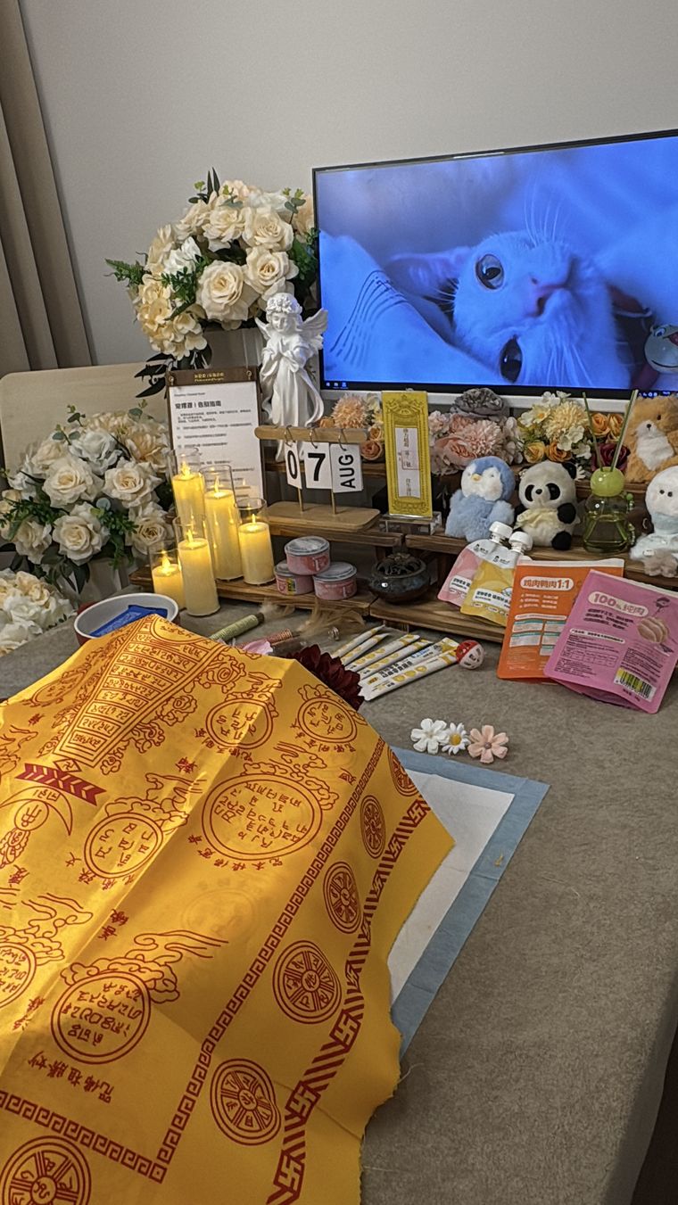 在莆田，当宠物离世后家人需要多久才能走出来