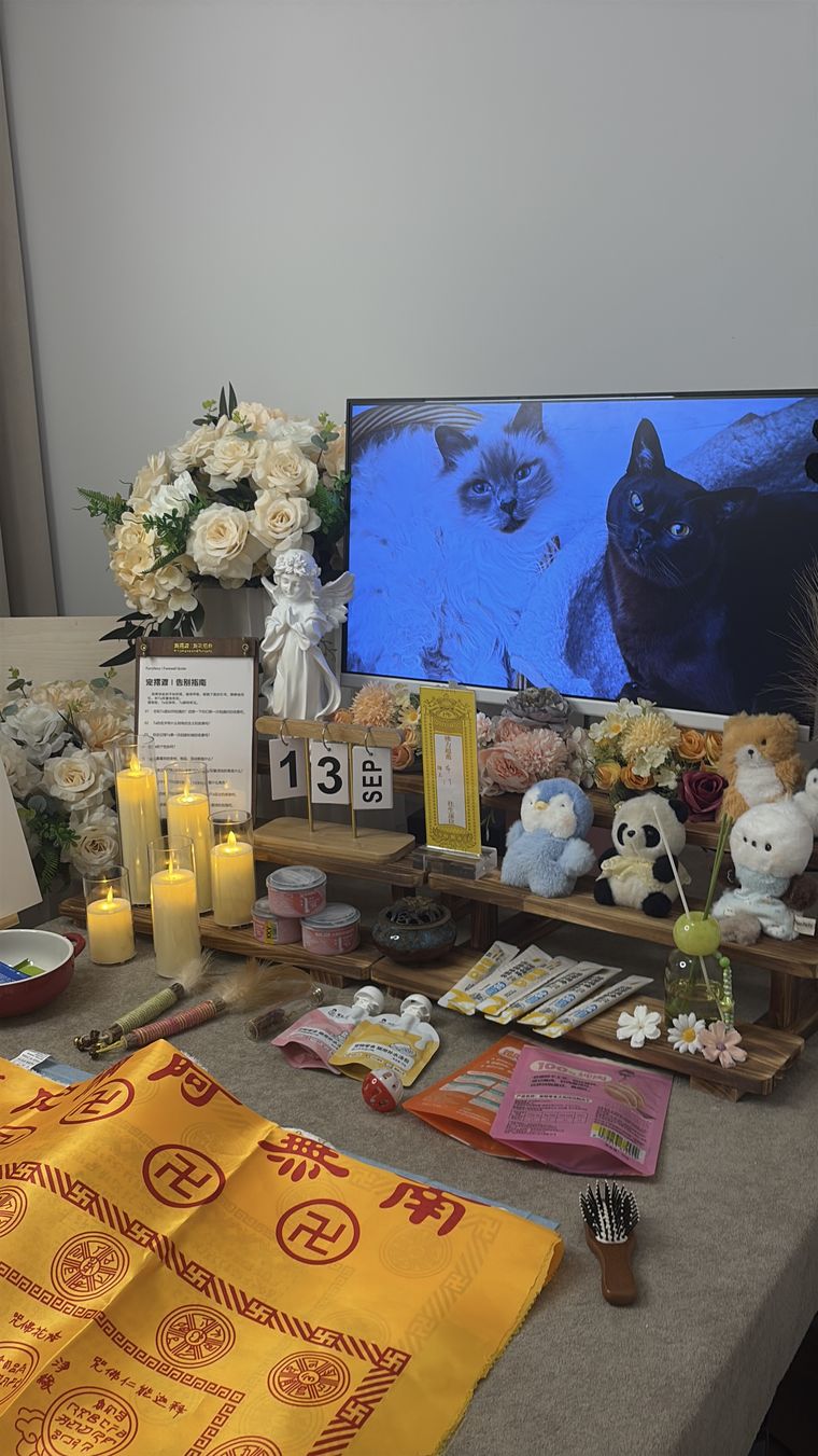 莆田宠物告别仪式